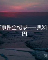 独家网红事件全纪录——黑料网背后原因