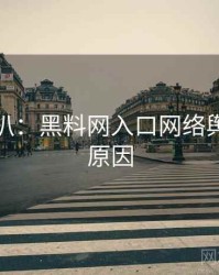 独家深扒：黑料网入口网络舆论背后原因