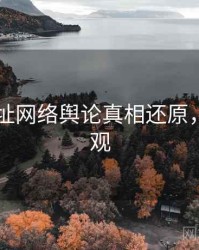 51网网址网络舆论真相还原，欢迎围观