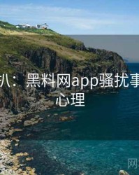 独家深扒：黑料网app骚扰事件公众心理