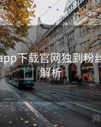 黑料社app下载官网独到粉丝大战深解析