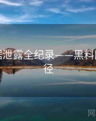 焦点数据泄露全纪录——黑料网传播路径