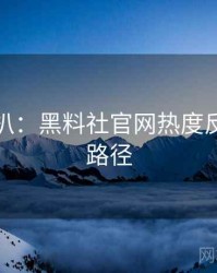 独家深扒：黑料社官网热度反转传播路径