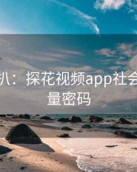 独家深扒：探花视频app社会热点流量密码