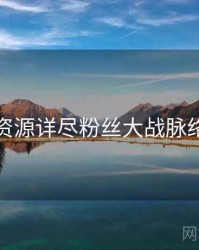 黑料资源详尽粉丝大战脉络揭秘