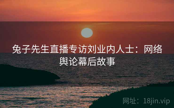 兔子先生直播专访刘业内人士:网络舆论幕后故事 兔子先生直播专访刘业内人士:网络舆论幕后故事